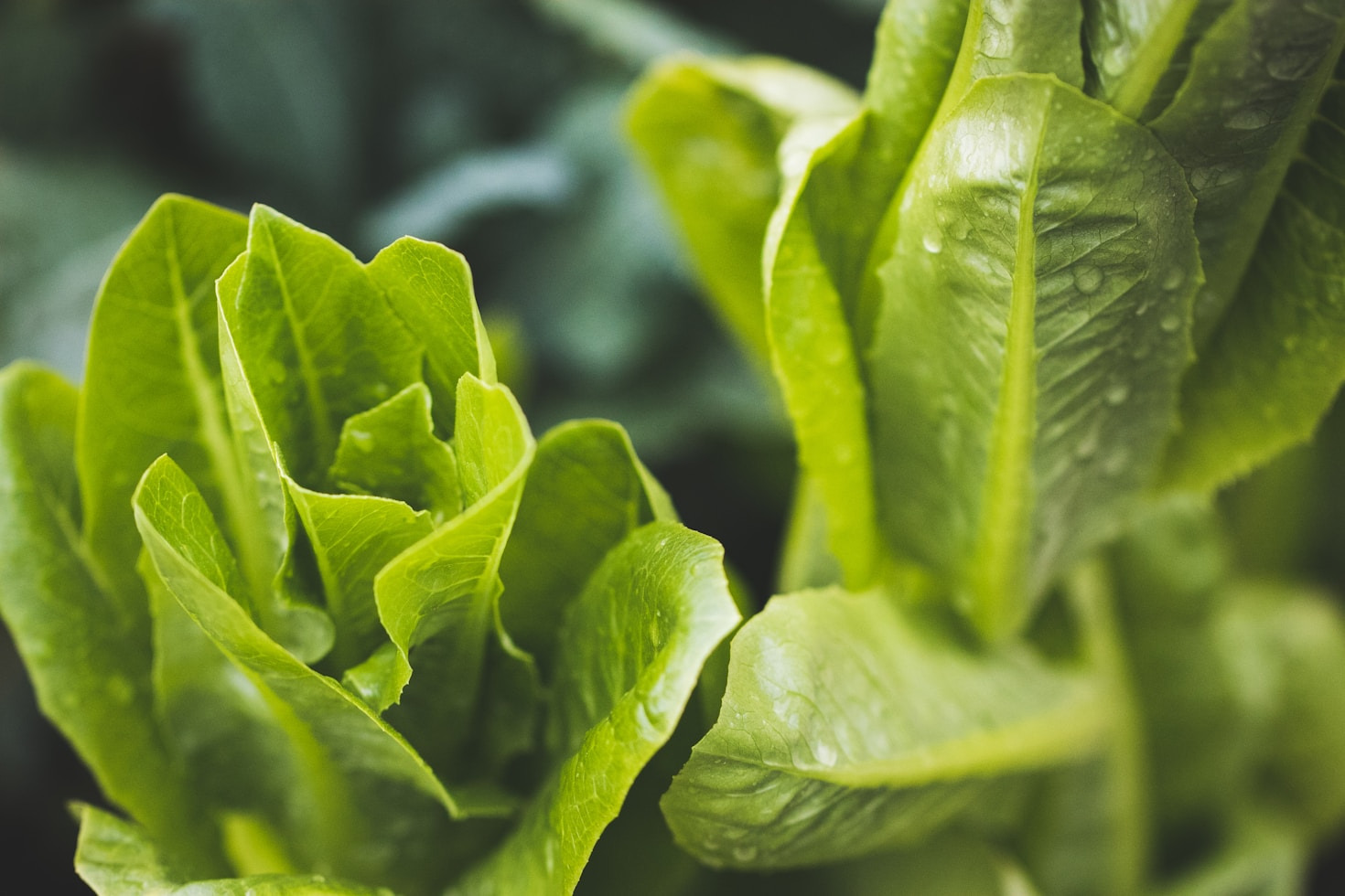 The Top Benefits of a Natural Lifestyle