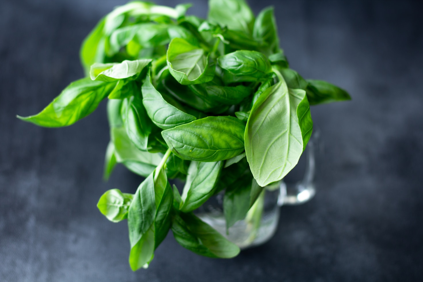 Tips for Creating a Healthy, Natural Home Environment