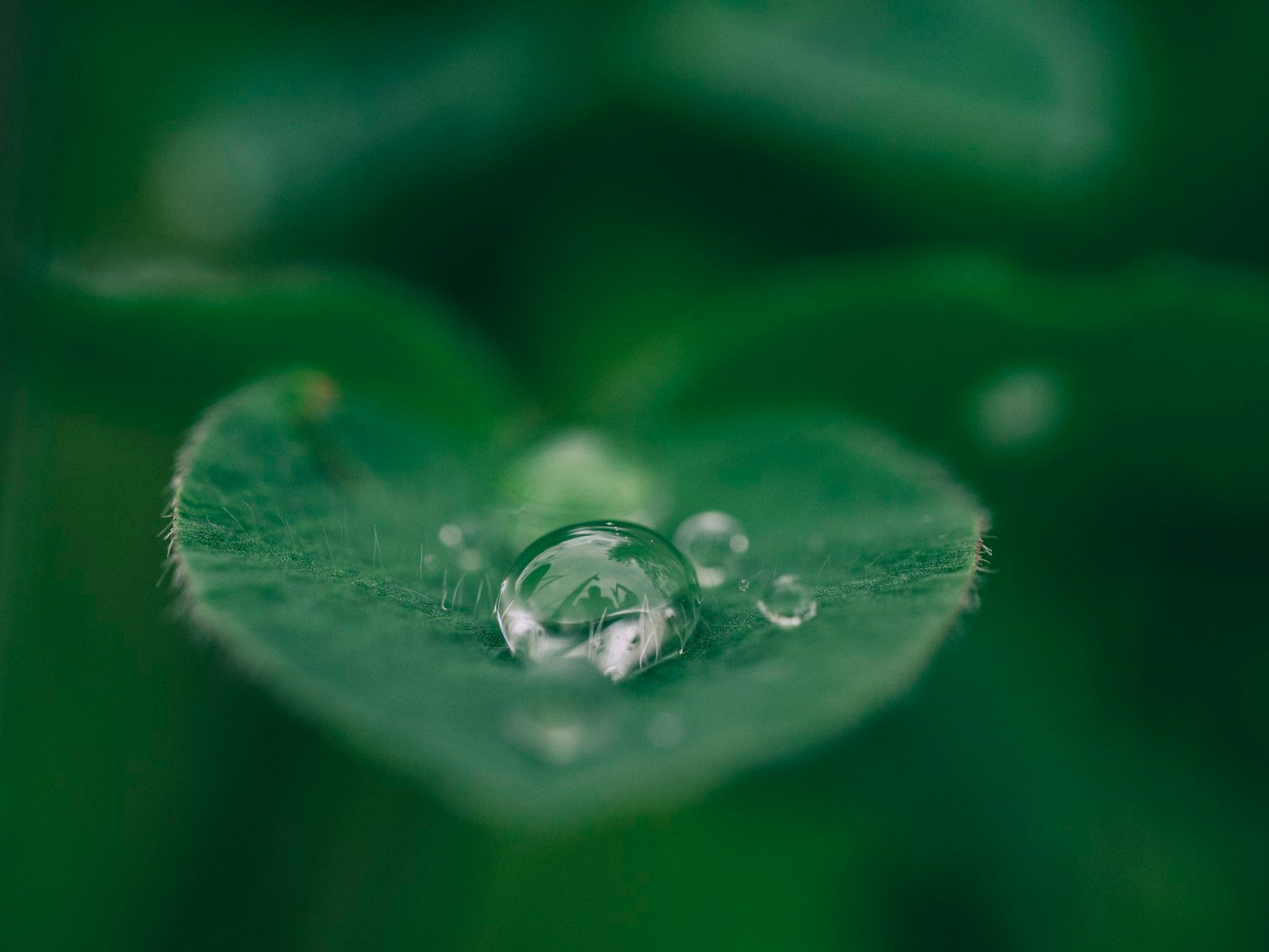 Debunking Myths About Sustainable Living